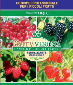 fertilizzante per frutti di bosco